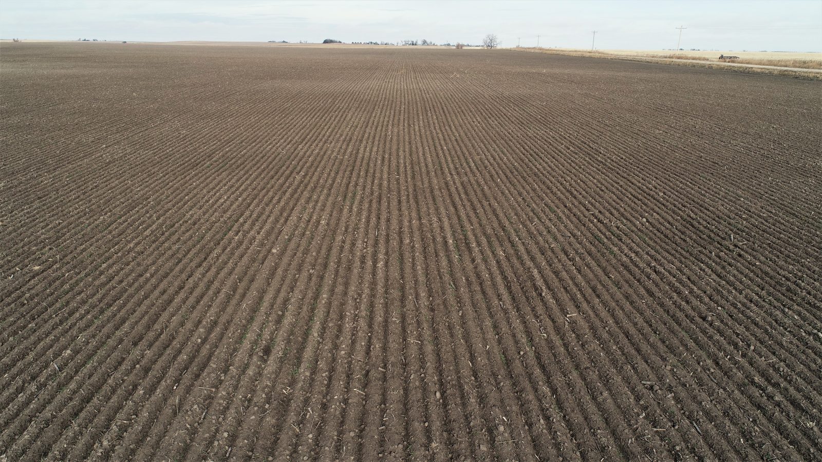 Box Butte County NonIrrigated Half Section Farm Kraupie's Real